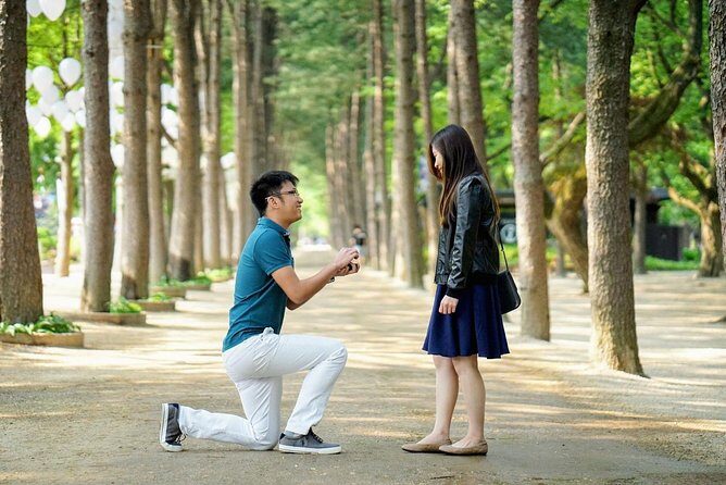 Full-Day Customizable Private Tour to Nami Island and surrounding Area - In-Depth Review of the Experience