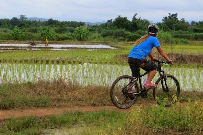 Full-Day Cycle and Kayak trip in Sri Lanna National Park - Key Points