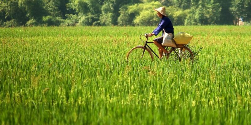Full-Day Cycling & Handcraft Workshop in Mai Chau Valley - Discover the Charm of Mai Chau with a Full-Day Cycling & Handcraft Workshop