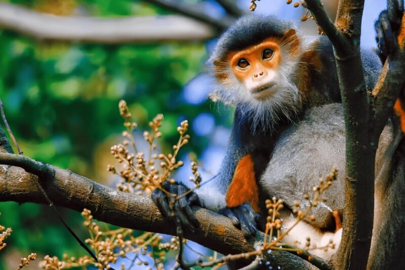 Full day Da Nang & Hoi An Tour Tour - FAQ