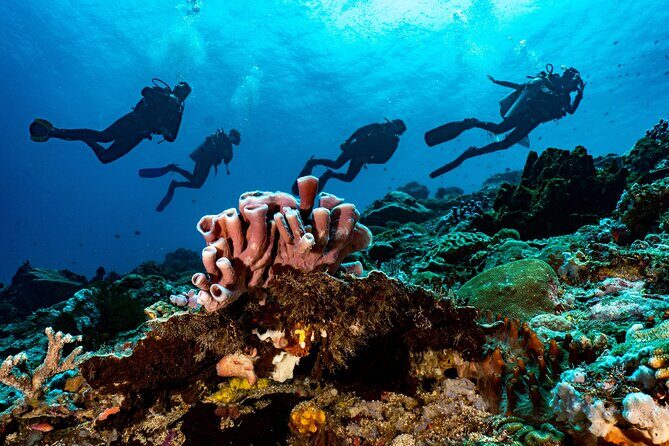 Full-Day Discover Scuba Diving Tour for Beginners in Tulamben - FAQs