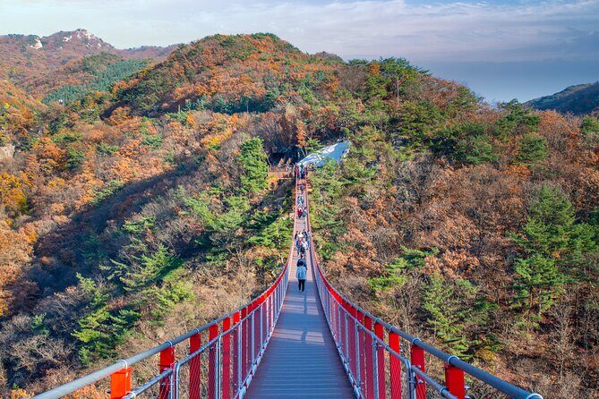 Full Day DMZ with Red Suspension Bridge Tour from Seoul - Who Will Love This Tour?