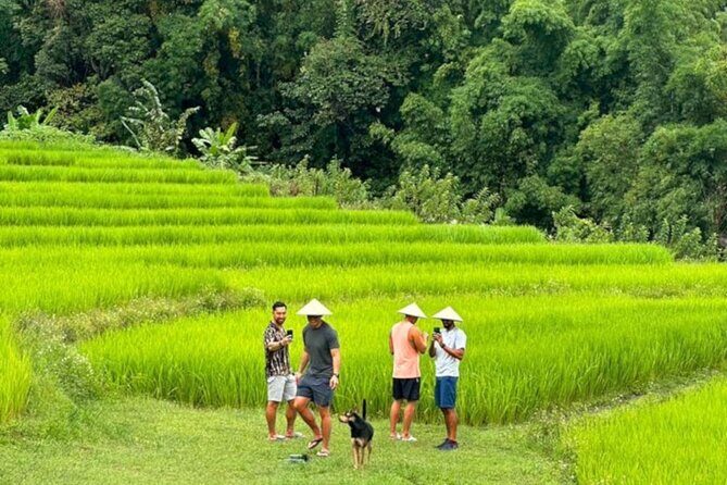 Full-Day Doi Inthanon National Park Tour with Trek and Pagodas - Who Will Enjoy This Tour?