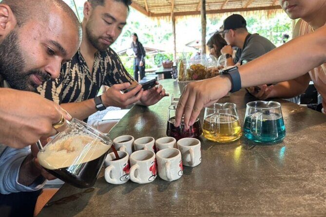 Full-Day Doi Inthanon National Park Tour with Trek and Pagodas - FAQ: Your Practical Questions Answered