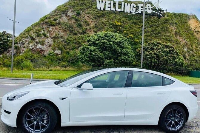 Full-Day Driver with Tesla Model 3-Customisable North Island Tour - Experience the North Island in Comfort and Style