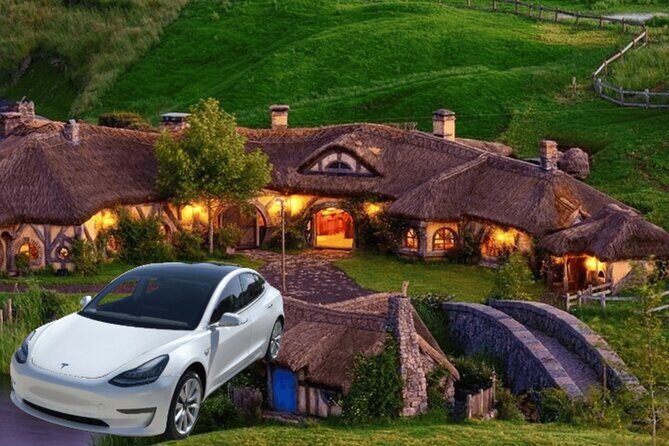 Full-Day Driver with Tesla Model 3-Customisable North Island Tour - Key Points