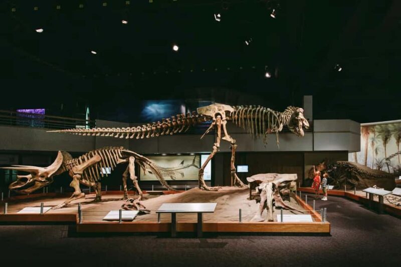 Full Day - Drumheller tour by Coach from Calgary - Experience the Wonders of Drumheller on a Full-Day Coach Tour from Calgary