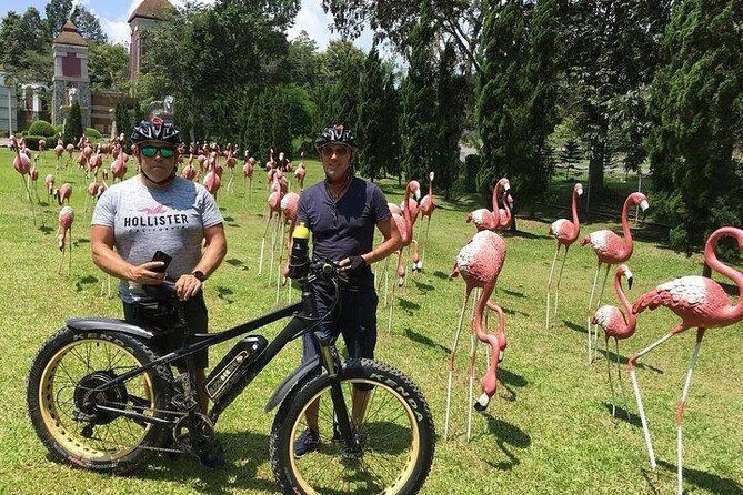 Full-day E-bike adventure Ping River and Nam Phrae (flat-hilly, GUIDED) - A Closer Look at the Full-Day E-bike Adventure