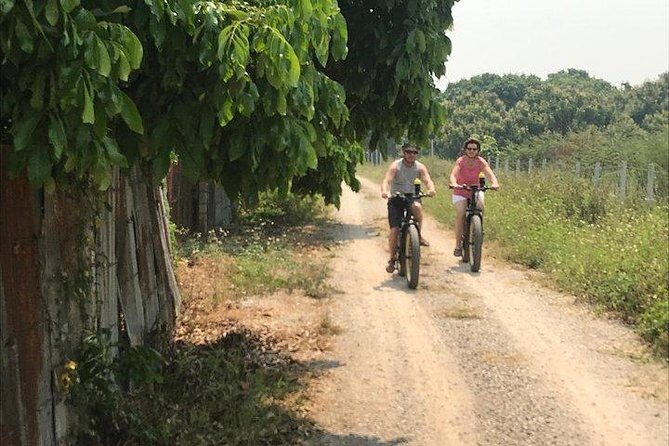 Full-day E-bike adventure Ping River and Nam Phrae (flat-hilly, GUIDED) - Who Would Love This Tour?