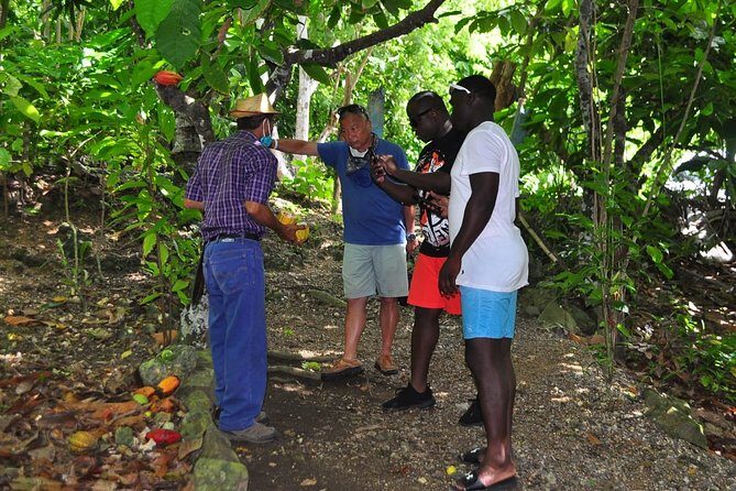 Full Day Eco Safari Adventure and Cultural Tour - Who Would Enjoy This Tour?