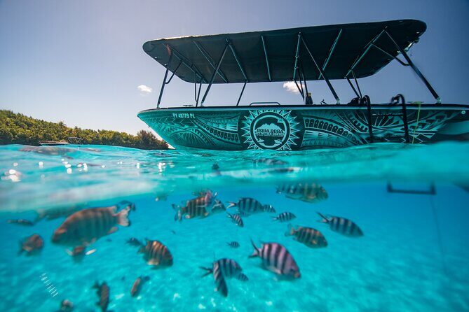Full Day Eco Snorkeling & Traditional BBQ Lunch on a Motu - Practical Details and What to Expect