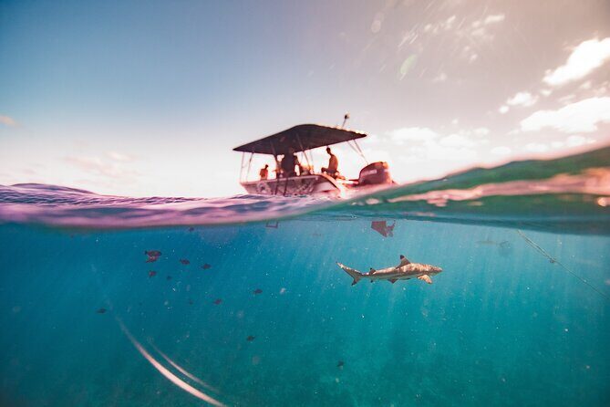 Full Day Eco Snorkeling & Traditional BBQ Lunch on a Motu - FAQ