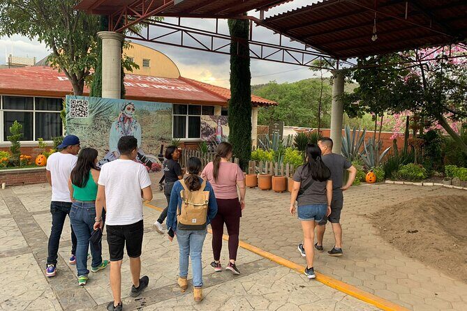 Full-Day El Tule, Mitla & Hierve el Agua Tour from Oaxaca - Possible Drawbacks and How to Prepare