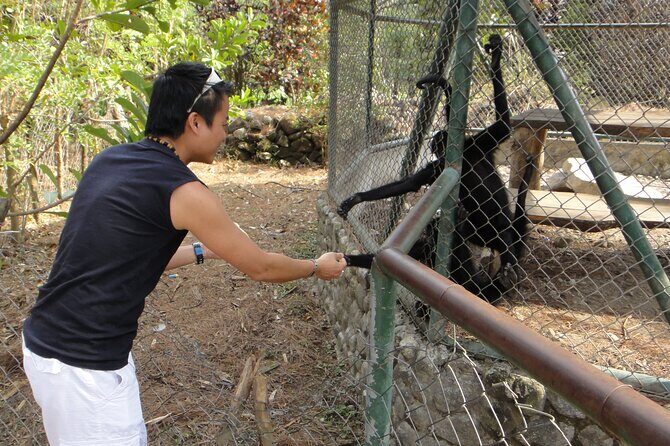 Full Day El Valle de Anton Enchantment Tour with Private Guide - An In-Depth Look at the El Valle de Anton Experience