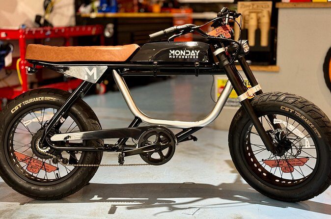 Full Day Electric Bike Rental in Galveston Texas - FAQ