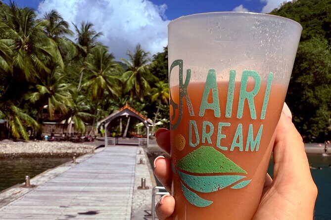 Full day EN Catamaran Martinique Dolphins and Turtles - Key Points