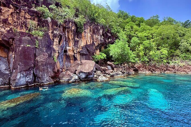 Full day EN Catamaran Martinique Dolphins and Turtles - The Sum Up: Is This Tour Worth It?