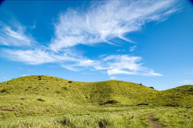 Full Day Essential Jeju Island Private tour for West Course - FAQ