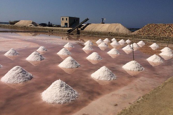 Full Day Exclusive Excursion to Segesta, Erice & Trapani Salt Flats from Palermo - Experience Provider Contact