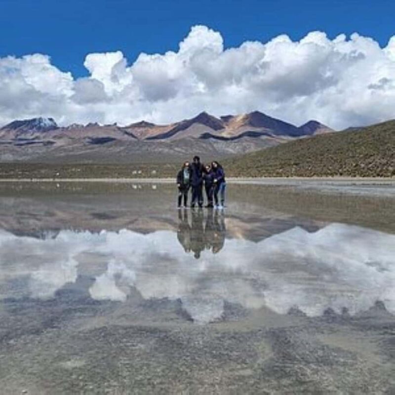 Full Day: excursion in Arequipa Laguna de Salinas - Practical Details and Tips
