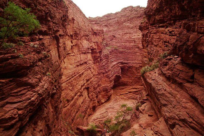 Full Day Excursion to Cafayate from Salta - A Detailed Look at the Tour Experience