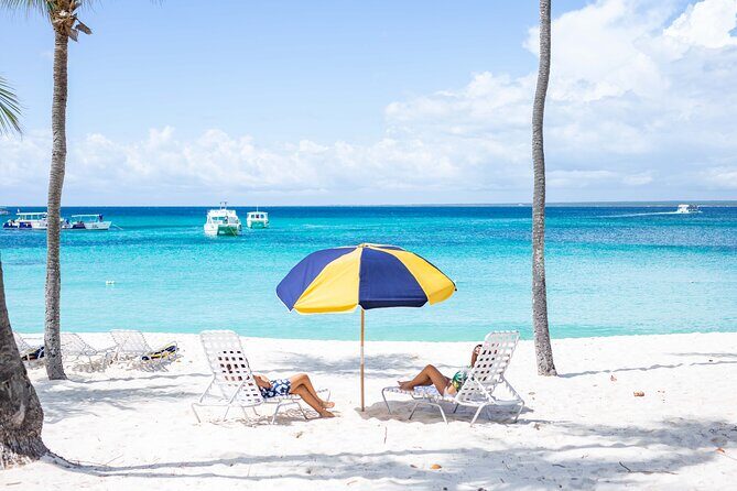 Full-Day Excursion to Discover Catalina Island with Lunch Option - A Close Look at the Tour Experience