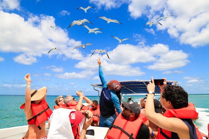 Full Day Excursion to Isla Saona from Santo Domingo - Key Points