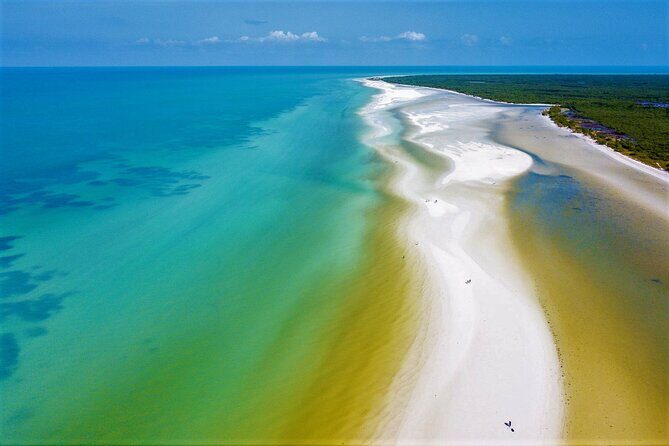 Full Day Excursion to the Best of Holbox From Riviera Maya - The Itinerary: What to Expect Each Step of the Way