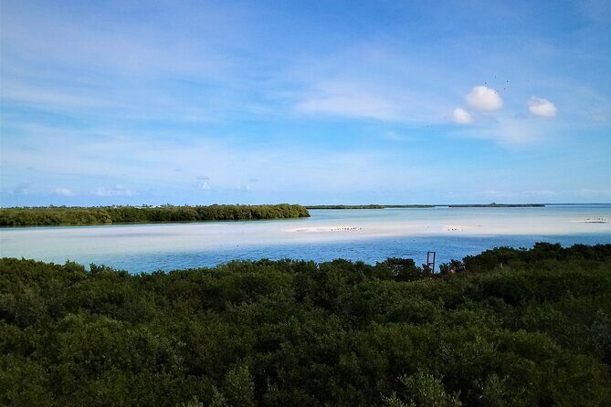 Full Day Excursion to the Best of Holbox From Riviera Maya - The Practicalities: What You Need to Know