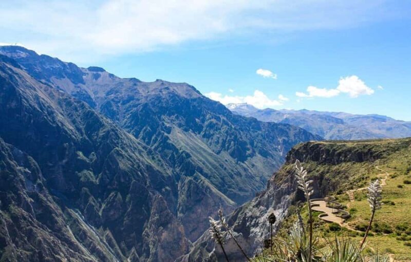 Full day excursion to the Colca Canyon and transfer to Puno. - Key Points