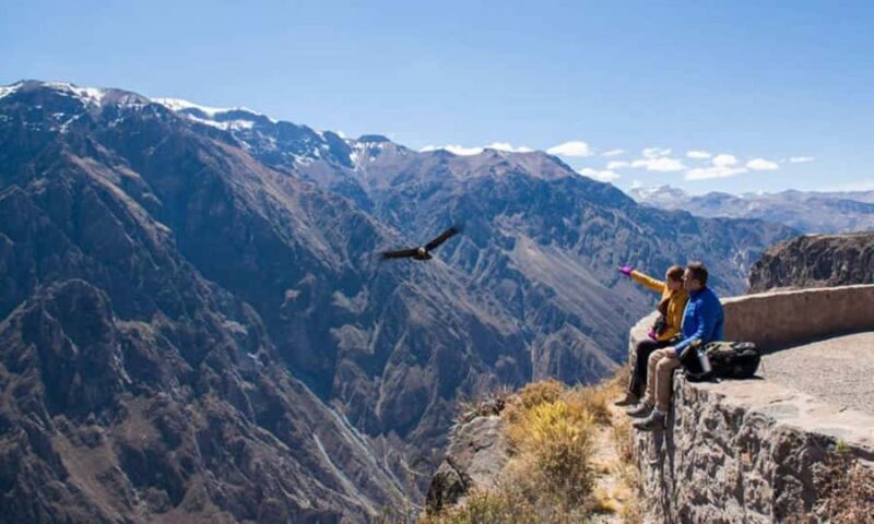 Full day excursion to the Colca Canyon and transfer to Puno. - What the Tour Includes and Excludes