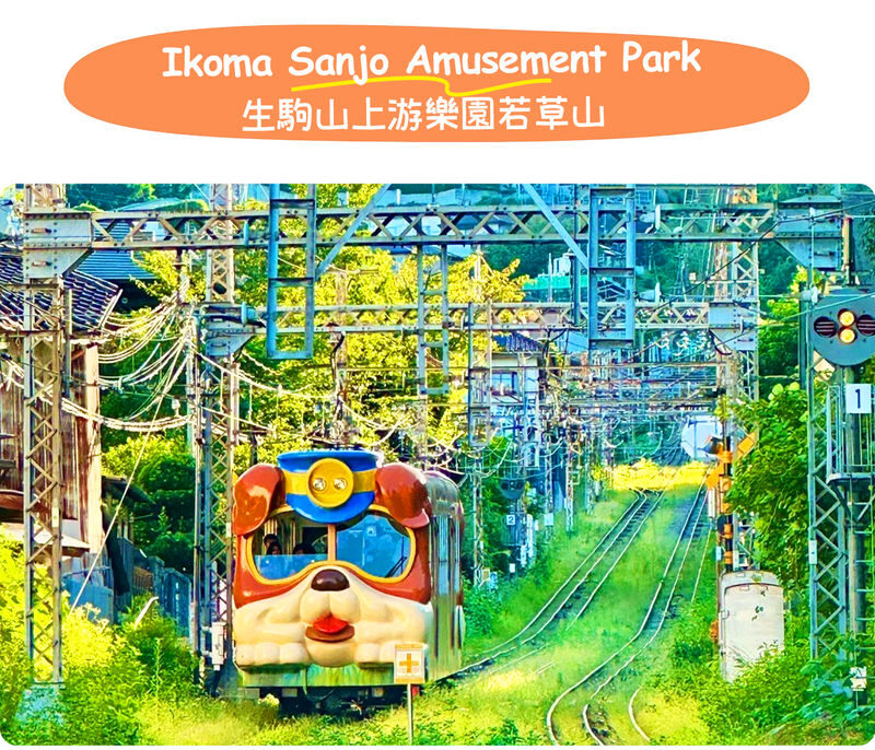 Full-day experience at Osaka Nara Park and Ikoma Sanjo Amusement Park, enjoying panoramic mountain views - Kasuga Taisha and Mount Wakakusa: plan for a flexible visit