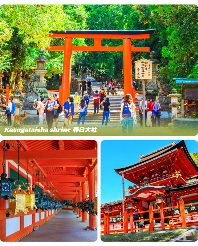 Full-day experience at Osaka Nara Park and Ikoma Sanjo Amusement Park, enjoying panoramic mountain views - Should you book this Nara and Ikoma day trip?