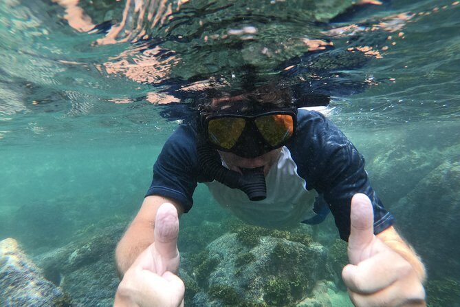 Full-Day Experience in Banderas Bay - Key Points