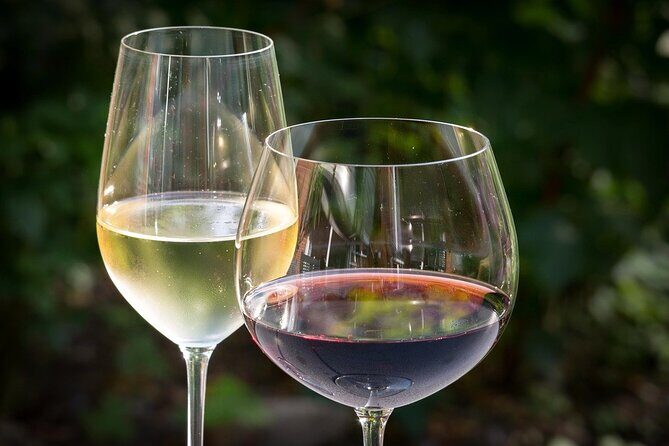 Full day experience | Tasting & art among the Orvieto vineyards - Authentic Experiences and Authentic Reviews