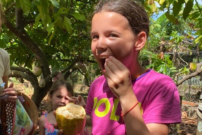 Full Day Experience to Farm and Chocolate - Key Points