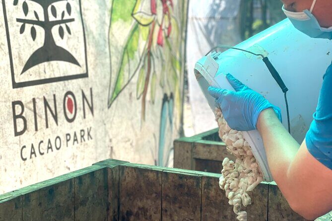 Full Day Experience to Farm and Chocolate - The Full Experience at BINON CACAO PARK: A Practical Review