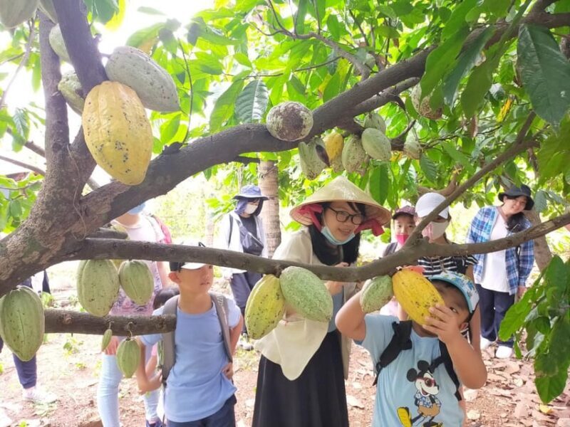 Full Day Experience to Farm and Chocolate - Practical Details & Considerations