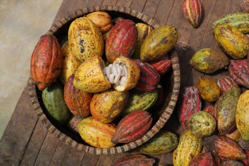 Full Day Experience to Farm and Chocolate - Is This Tour Right for You?