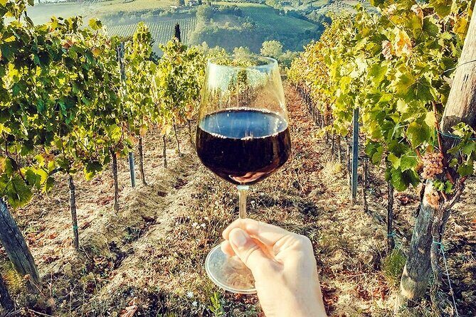 Full day experience | Umbria wine tasting and SPA relax - Practical Considerations and Tips