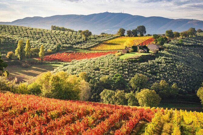 Full day experience | Umbria wine tasting and SPA relax - FAQ