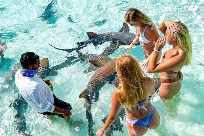 Full Day Exuma Swimming Pigs - Group Boat Tour From Nassau - Key Points