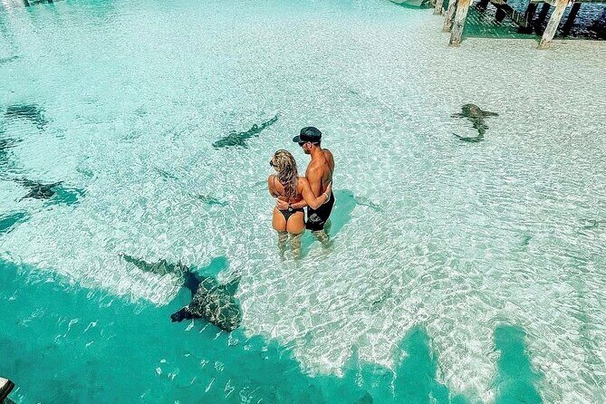 Full Day Exuma Swimming Pigs - Group Boat Tour From Nassau - Who Will Love This Tour?