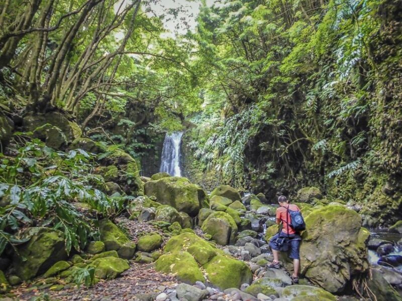 Full-Day Faial da Terra + Nordeste from Ponta Delgada - Who Should Consider This Tour?