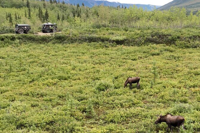 Full Day: Fairbanks to Denali Winter Adventure & SHERP Tour - Who Should Consider This Tour?