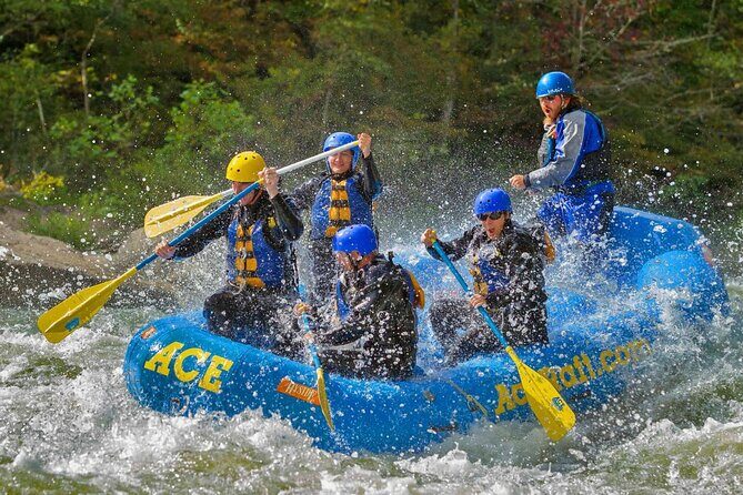 Full Day Fall Lower Gauley Rafting in West Virginia - An In-Depth Look at the Lower Gauley Rafting Experience