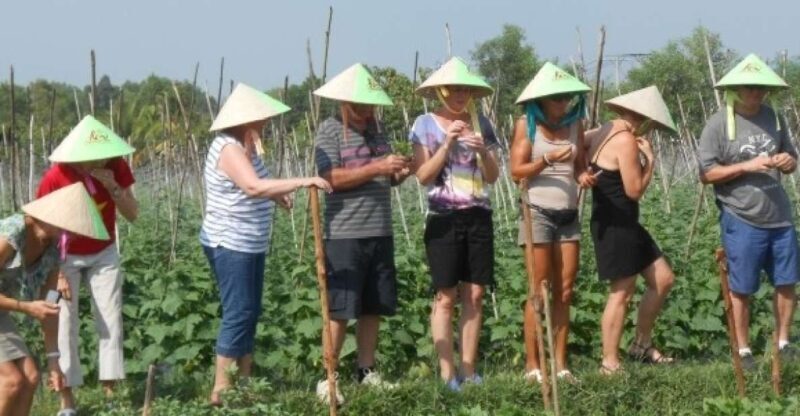 Full-Day Farming & Cooking class at Agricultural Village - An Authentic Day in Cu Chi: What to Expect
