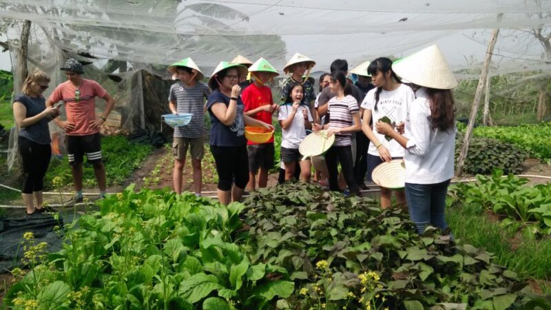 Full-Day Farming & Cooking class at Agricultural Village - Final Thoughts: Who Is This Tour Best For?