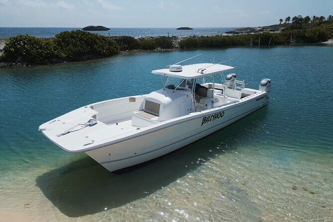 Full-Day Fishing Charter in East Coast, Puerto Rico - Who Is This Tour Best For?