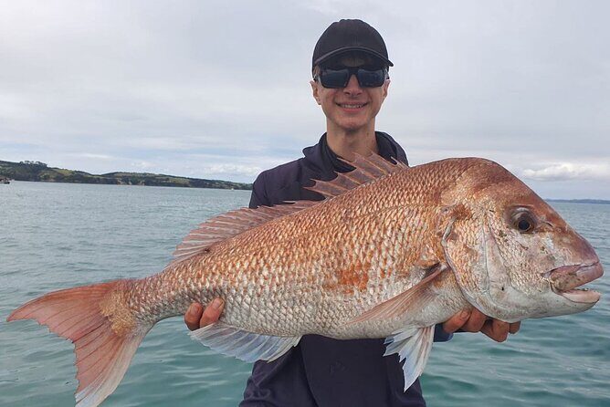 Full Day Fishing Trip on Auckland Waitemata Harbour - An In-Depth Look at the Full Day Fishing Trip